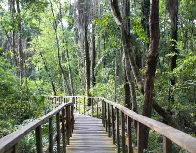 About Lekki Conservation Center, Lekki, Lagos